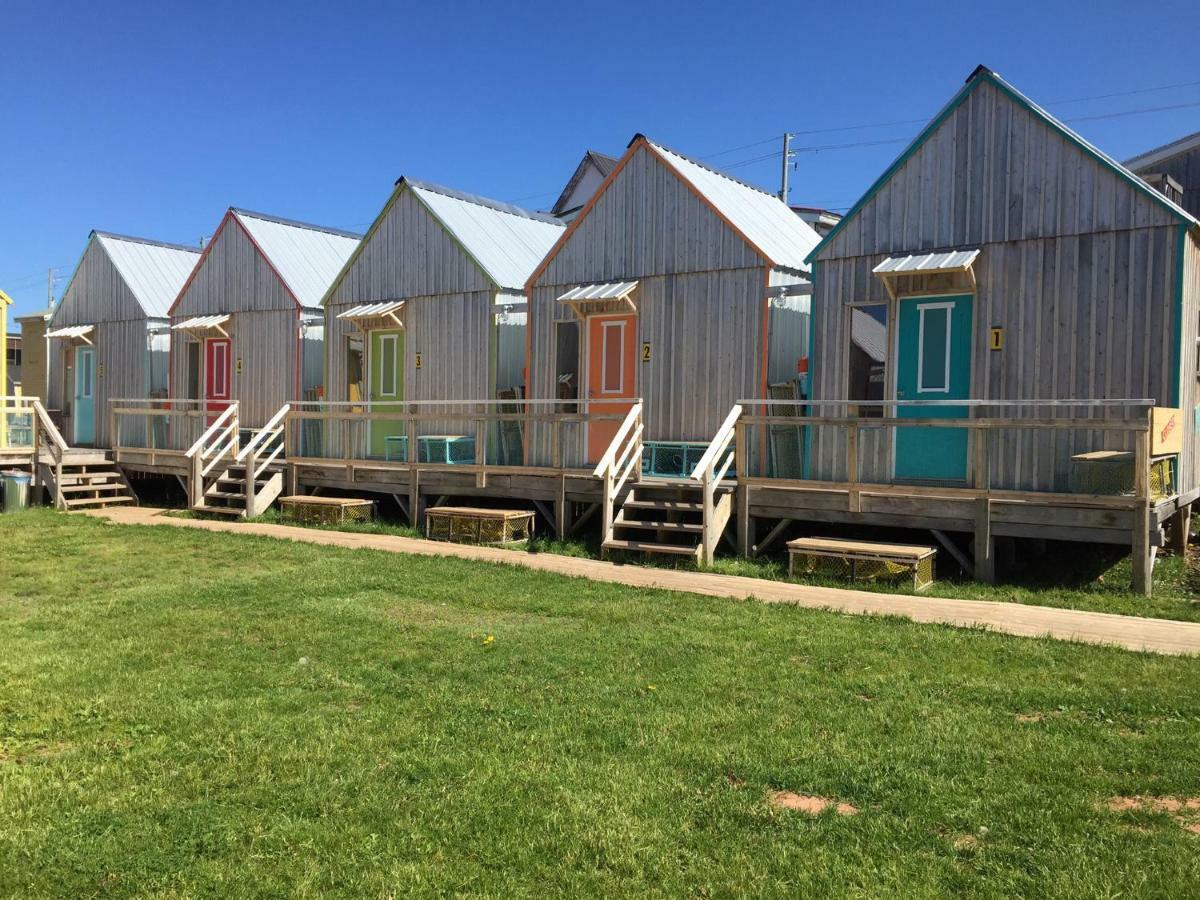 Shantystay Accommodations سوري المظهر الخارجي الصورة